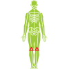 PCL injury example